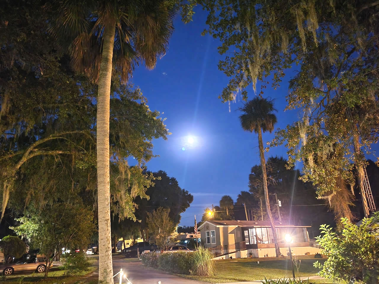 Moon shining over Citra Royal Palm RV Park